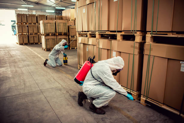 Pest Control for Restaurants in Mount Vernon, TX