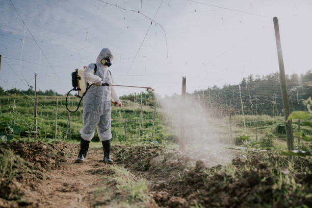 Best Mosquito Control Services  in Mount Vernon, TX