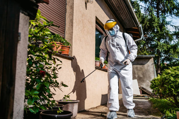 Best Affordable Pest Control Services  in Mount Vernon, TX