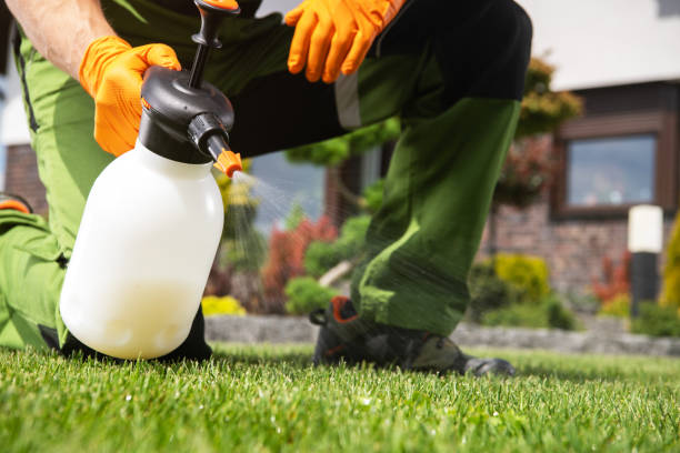 Bird Control in Mount Vernon, TX
