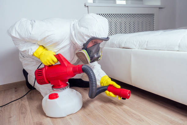 Best Exterminator Services  in Mount Vernon, TX