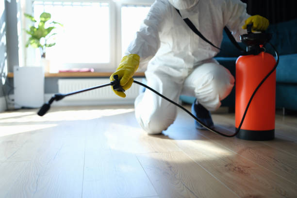 Best Insect Control  in Mount Vernon, TX