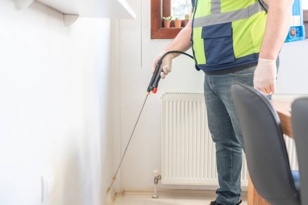 Trusted Mount Vernon, TX Pest Control Experts