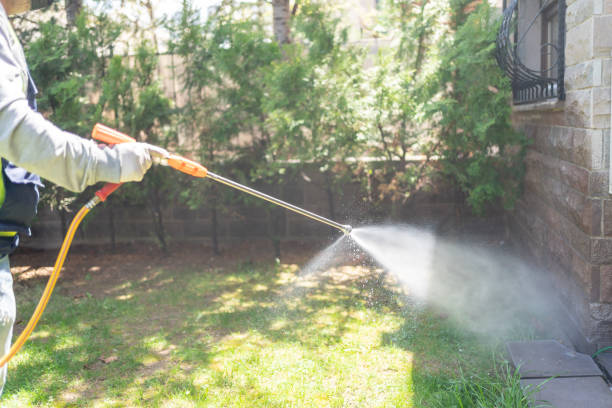 Best Best Pest Control Companies  in Mount Vernon, TX