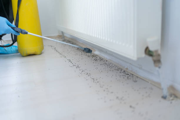 Best Commercial Pest Control Services  in Mount Vernon, TX